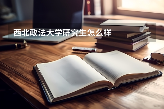 西北政法大学研究生怎么样