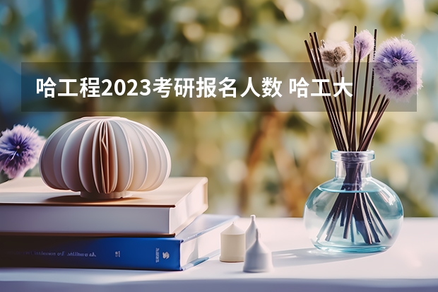 哈工程2023考研报名人数 哈工大24考研招生人数