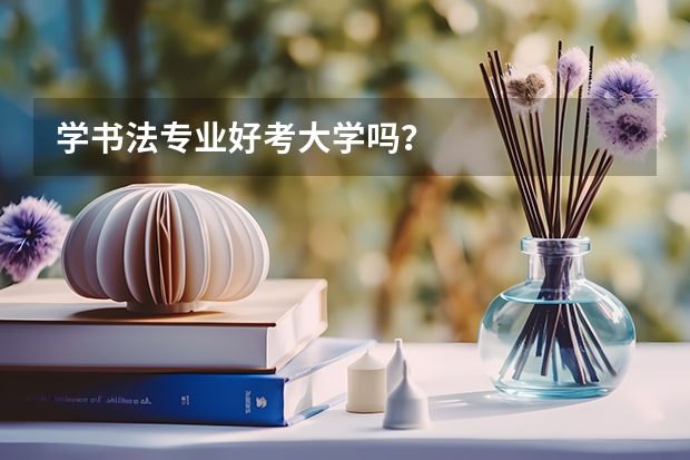 学书法专业好考大学吗？