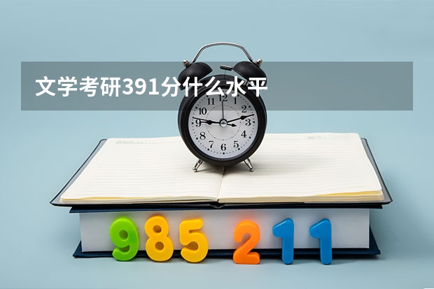 文学考研391分什么水平