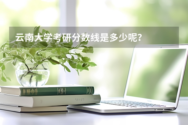 云南大学考研分数线是多少呢？