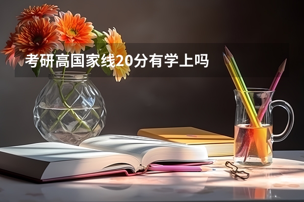 考研高国家线20分有学上吗